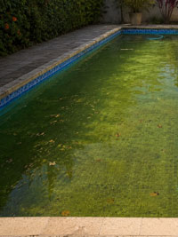 Piscina antes da limpeza